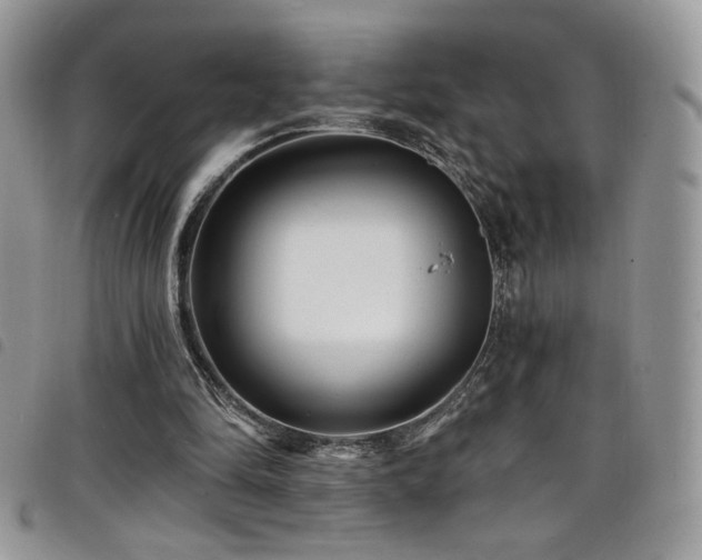 X0000098200294200804241259
