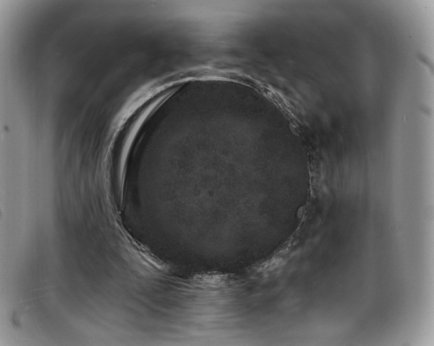 X0000098200295200804241259