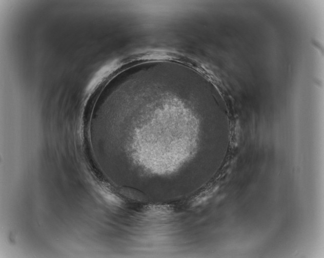 X0000098200296200804241259