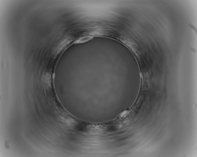 X0000098200297200804241259