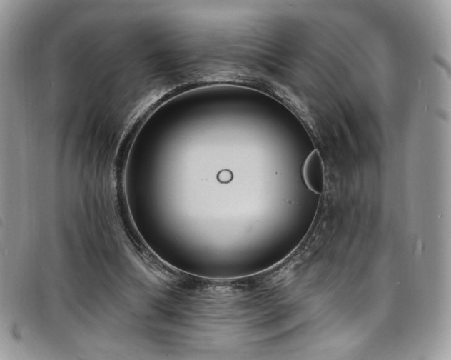 X0000098200298200804241259