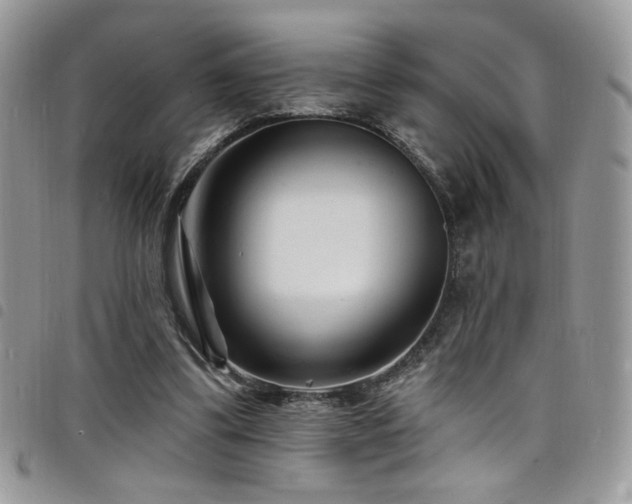 X0000098200299200804241259