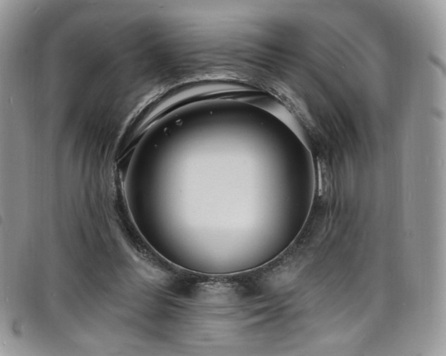 X0000098200300200804241259