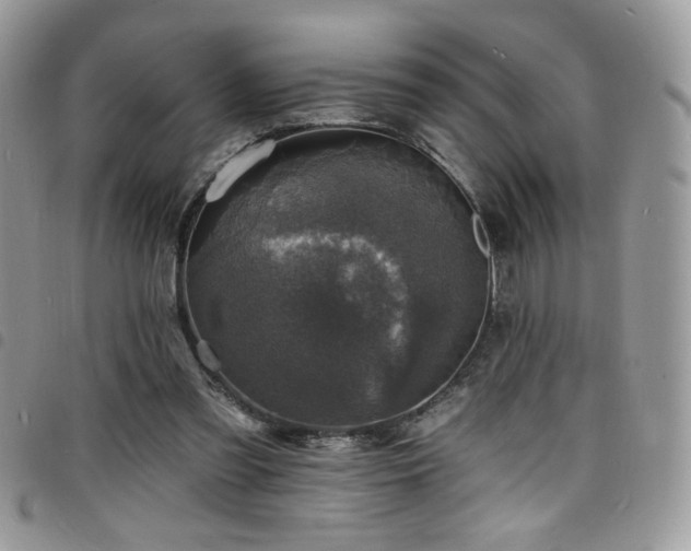 X0000098200301200804241259