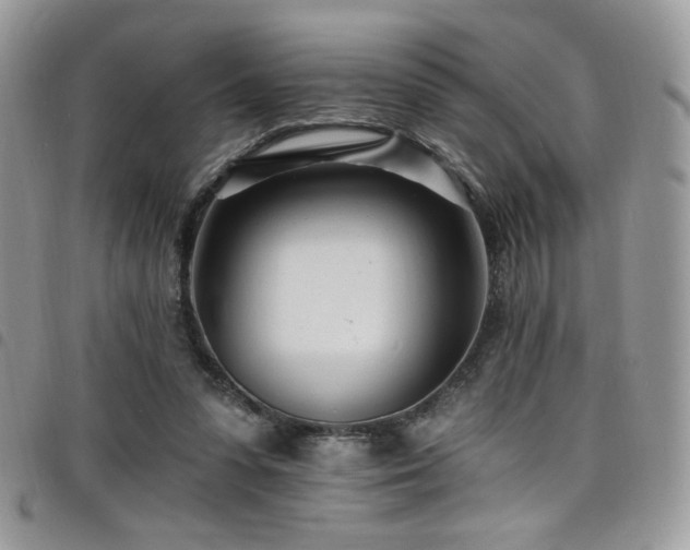 X0000098200303200804241259