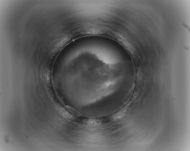 X0000098200305200804241259
