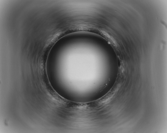 X0000098200306200804241259