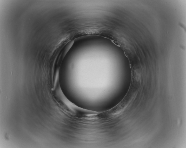X0000098200308200804241259