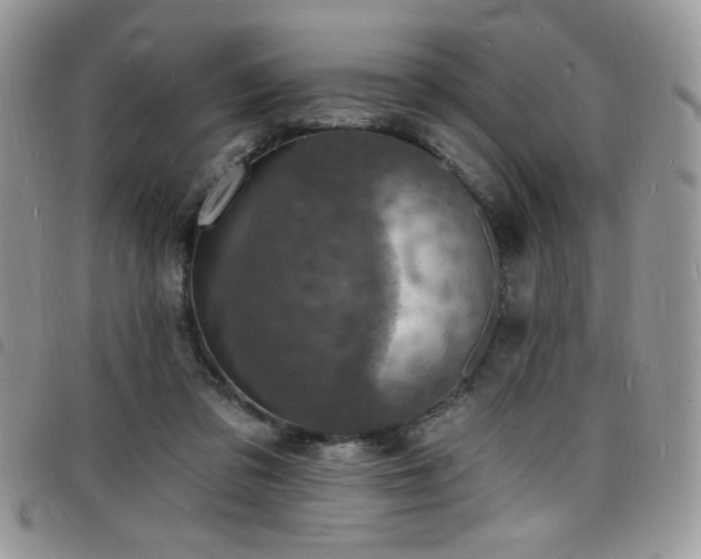 X0000098200309200804241259
