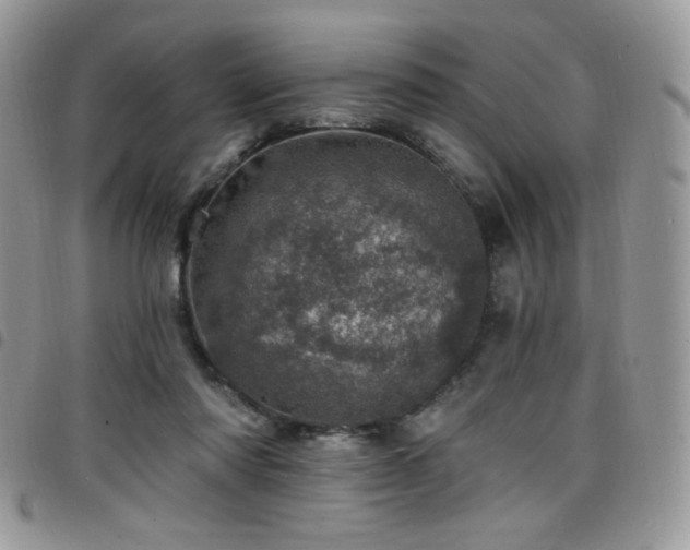 X0000098200310200804241259