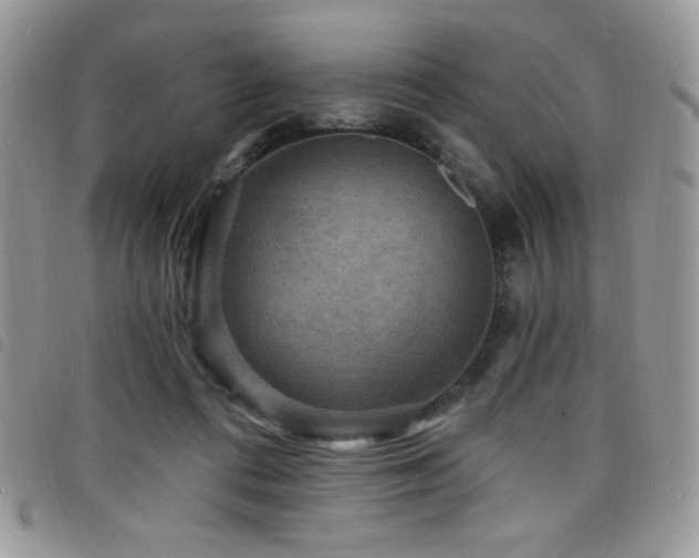 X0000098200312200804241259