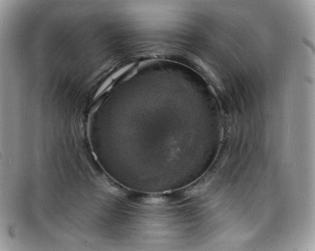 X0000098200313200804241259