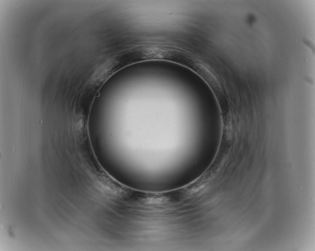 X0000098200314200804241259