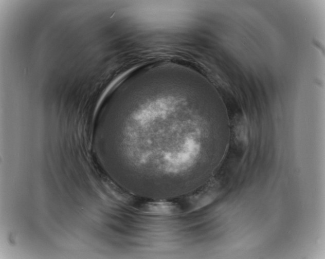 X0000098200316200804241259