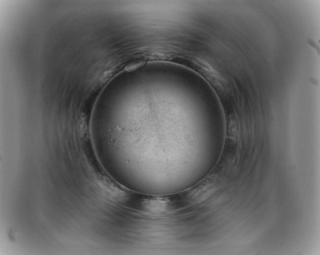 X0000098200318200804241259