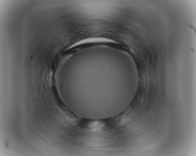 X0000098200319200804241259