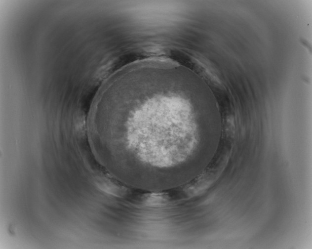 X0000098200320200804241259