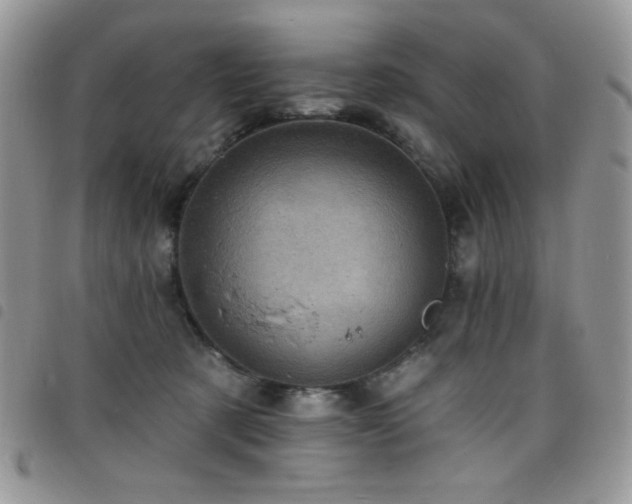 X0000098200321200804241259