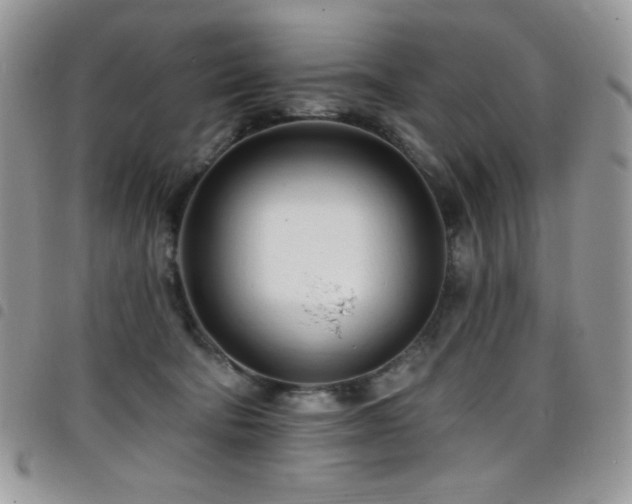 X0000098200322200804241259