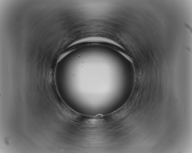X0000098200323200804241259