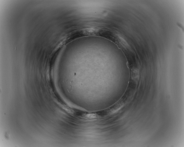 X0000098200324200804241259