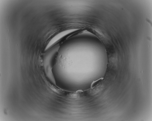 X0000098200325200804241259