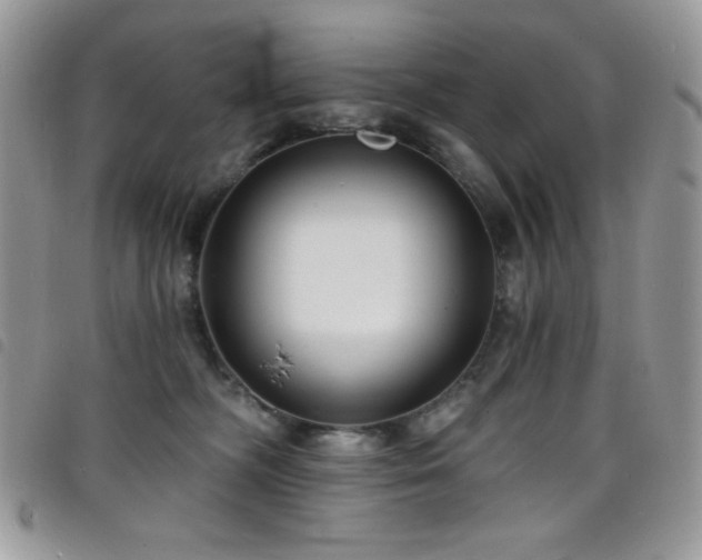 X0000098200326200804241259
