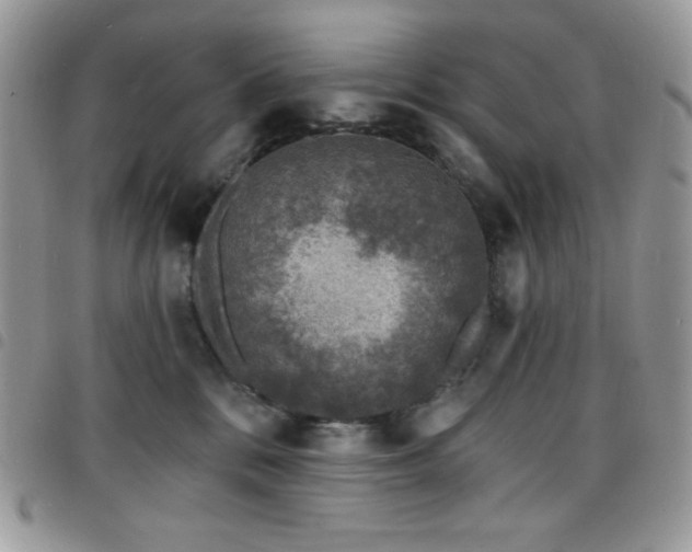 X0000098200328200804241259