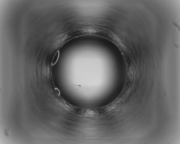 X0000098200330200804241259