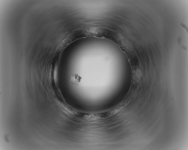 X0000098200331200804241259