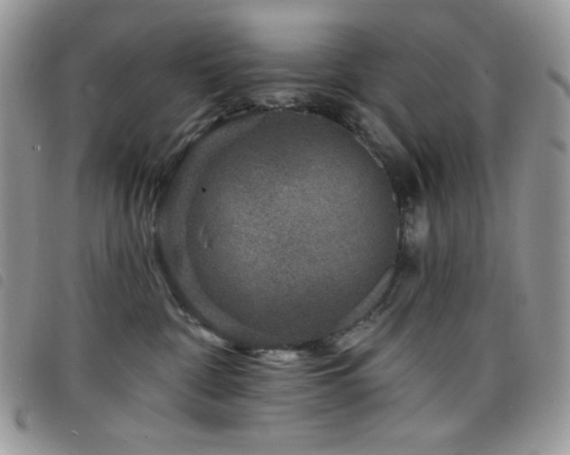 X0000098200332200804241259