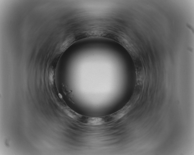 X0000098200334200804241259