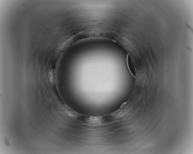 X0000098200335200804241259
