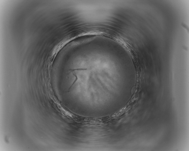 X0000098200337200804241258