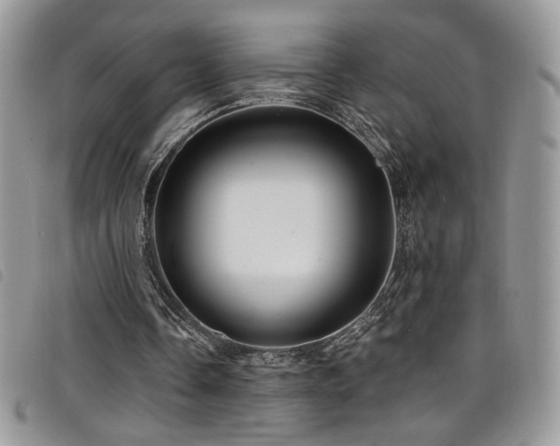 X0000098200338200804241258