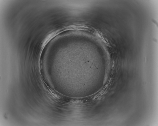 X0000098200340200804241258