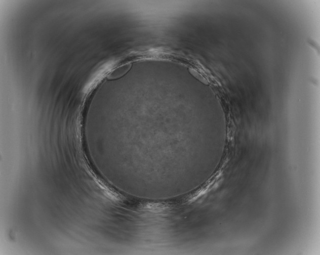 X0000098200341200804241258