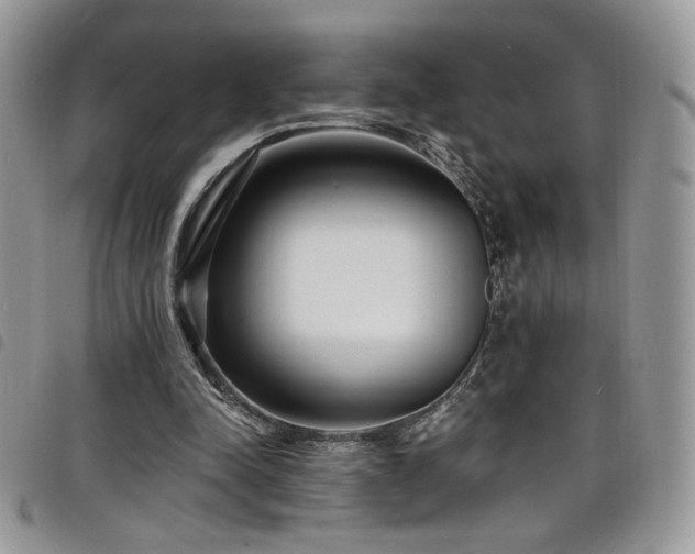 X0000098200342200804241258