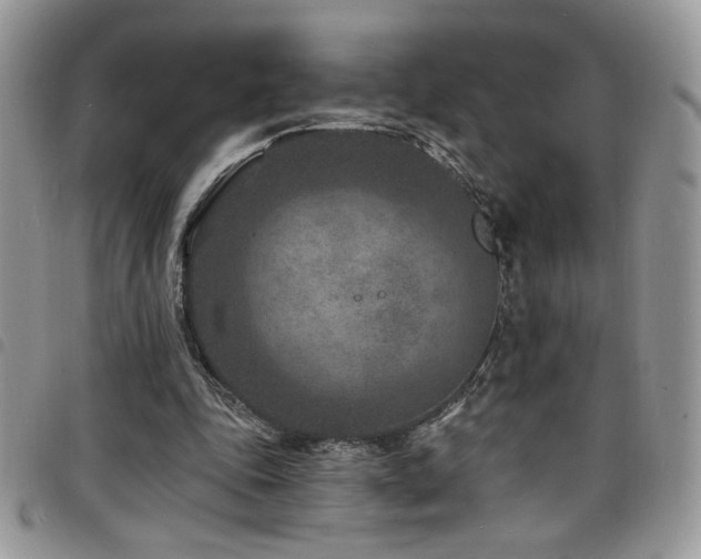 X0000098200343200804241258