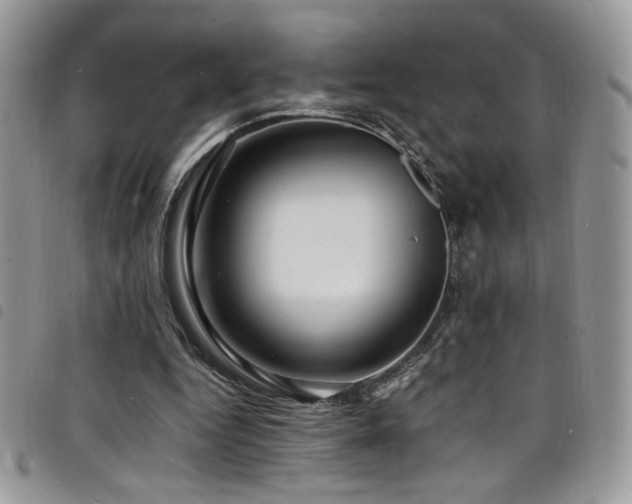 X0000098200344200804241258