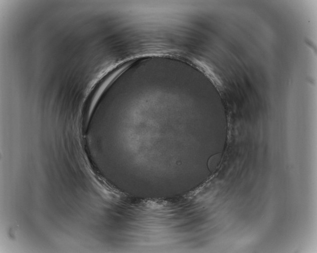 X0000098200346200804241258