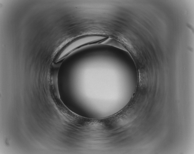 X0000098200348200804241258