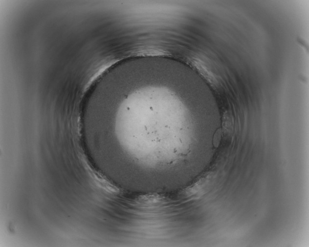 X0000098200351200804241258