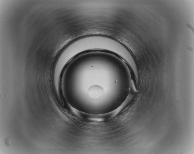 X0000098200352200804241258