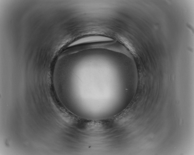 X0000098200354200804241258