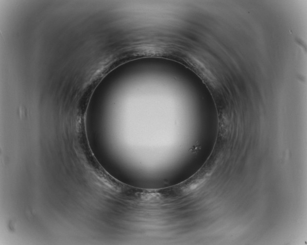 X0000098200355200804241258