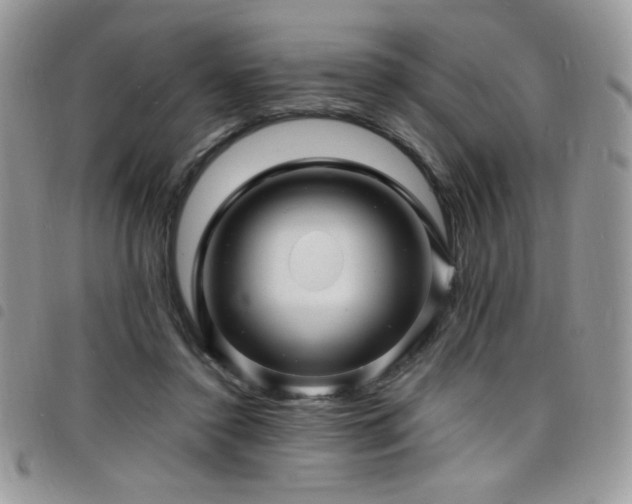 X0000098200356200804241258