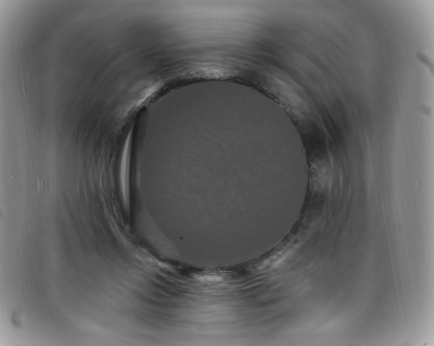 X0000098200358200804241258