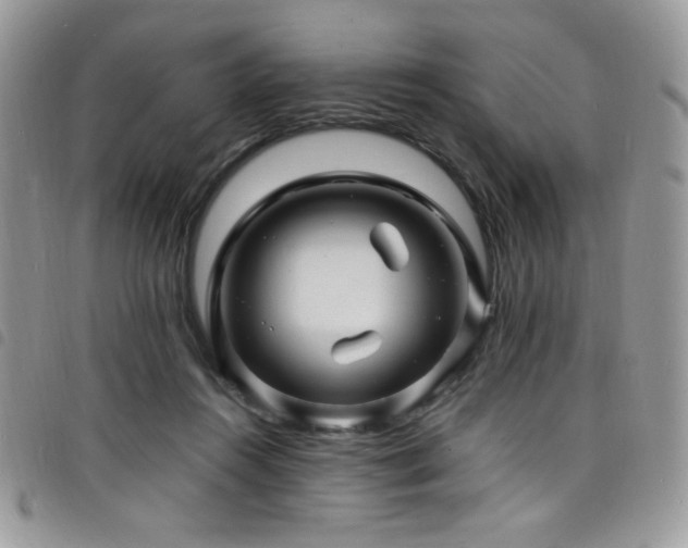 X0000098200360200804241258