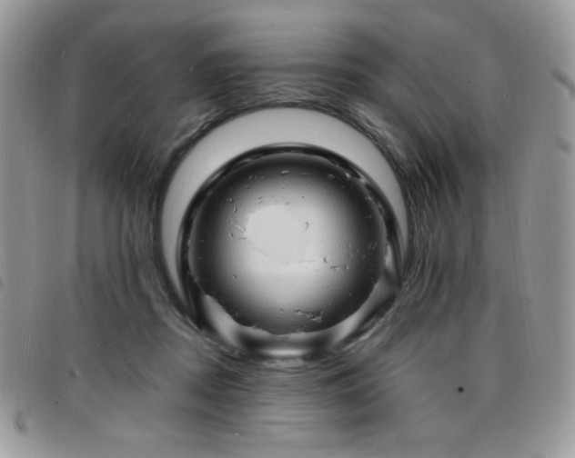 X0000098200362200804241258